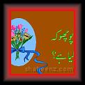 cardgh 01 * 491 x 296 * (21KB)